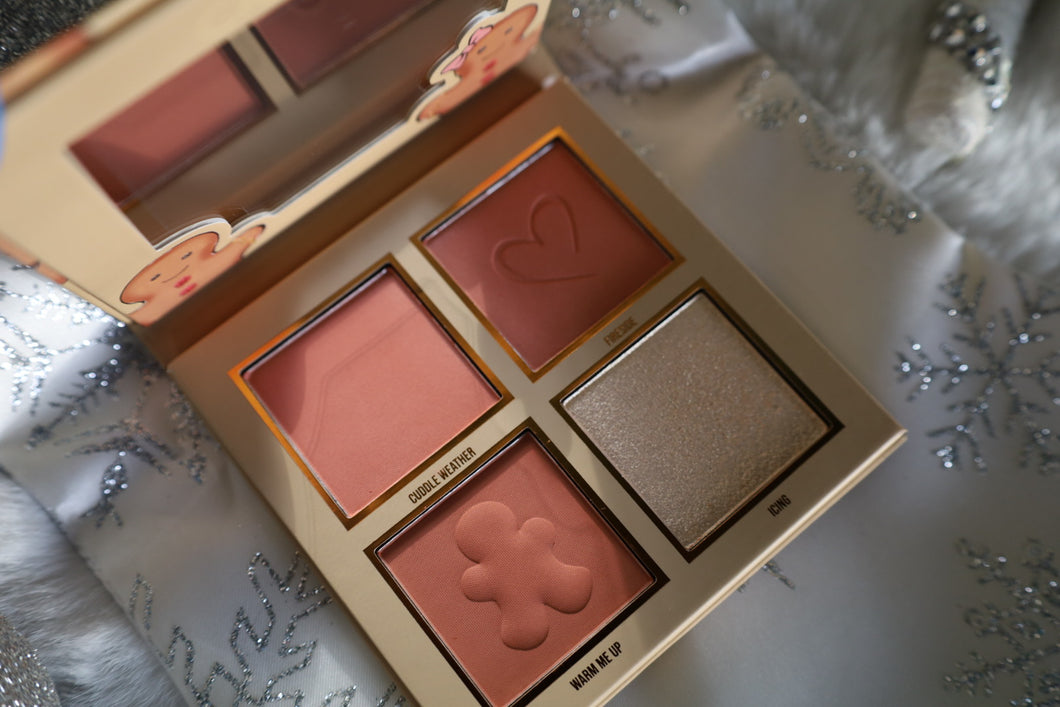 Get Cozy All In Quad Face Palette